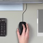 Мышь Logitech B100, проводная, оптическая, 1000 dpi, 1.8 м, черная - фото 51435647 Мышь Logitech B100, проводная, оптическая, 1000 dpi, 1.8 м, черная - фото 51435647