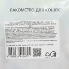 Лакомство TitBit Dent для кошек, жевательные снеки, говядина, 40 г - Фото 2