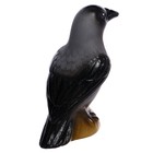 Набор фигурок «Изучаем птиц» - фото 3901825