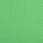 Полотенце Доляна цв. светло-зелёный, 40х60 см, 100% хл, вафля 170 г/м2 - Фото 3