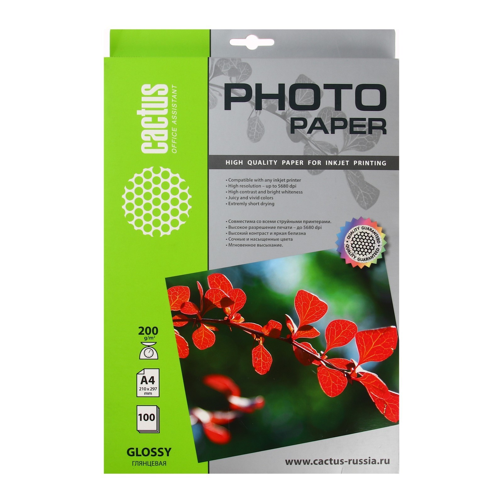 ФоÑобÑмага Ð´Ð»Ñ ÑÑÑÑйной пеÑаÑи Ð4, 100 лиÑÑов Cactus, 200 г/м2, одноÑÑоÑоннÑÑ, глÑнÑÐµÐ²Ð°Ñ (266687