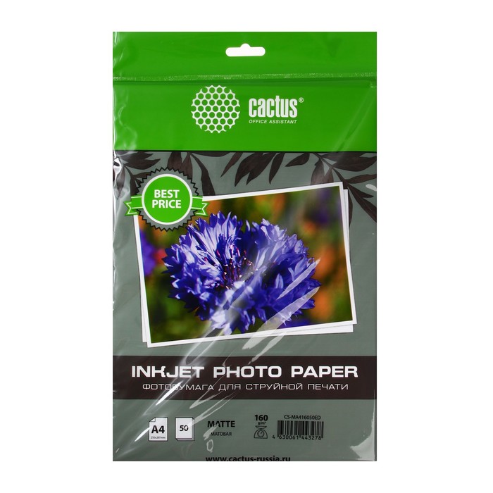 Фотобумага для струйной печати А4, 50 листов Cactus, 160 г/м2, односторонняя, матовая, в пакете - Фото 1