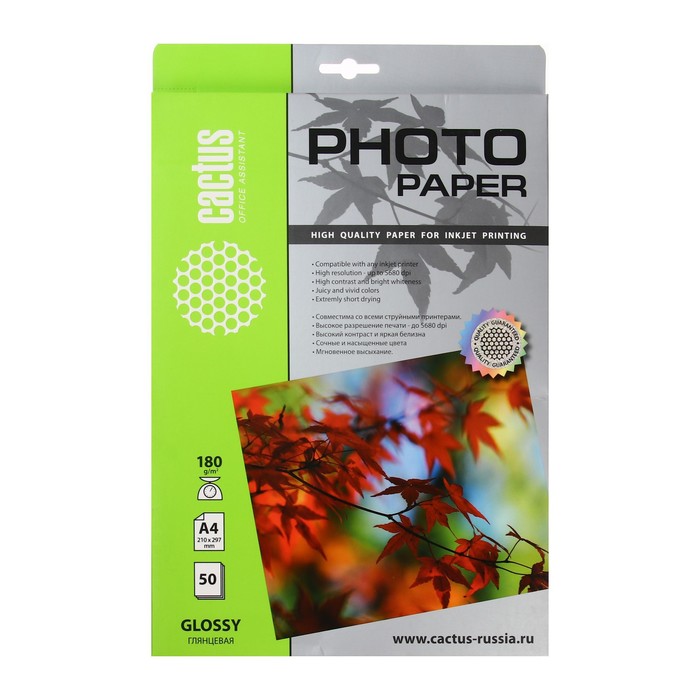 Фотобумага для струйной печати А4, 50 листов Cactus, 180 г/м2, односторонняя, глянцевая - Фото 1