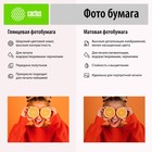 Фотобумага для струйной печати А6, 500 листов Cactus, 180 г/м2, односторонняя, глянцевая - фото 51314875 Фотобумага для струйной печати А6, 500 листов Cactus, 180 г/м2, односторонняя, глянцевая - фото 51314875