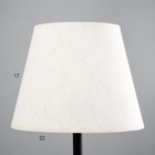 Лампа настольная "Элеонора" 1х15Вт Е27 черный/белый 22х22х42см - фото 24551474