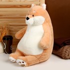 Мягкая игрушка «Собака», 55 см, цвет оранжевый - Фото 2