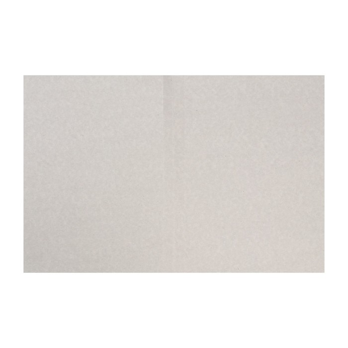 Папка-обложка А4 на 300 листов "Дело", картон, 370 г/м2, белая