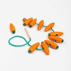 Шнуровка «Морковки», 10 шт. в наборе - фото 10676184