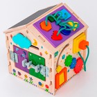 Бизидом «Пингвин» без света - Фото 6