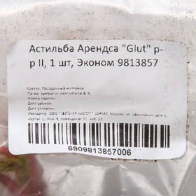 

Астильба Арендса "Glut" р-р II, 1 шт, Эконом