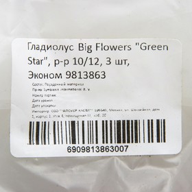 

Гладиолус Big Flowers "Green Star", р-р 10/12, 3 шт, Эконом