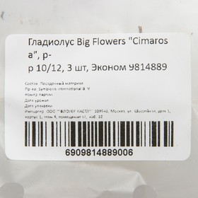 

Гладиолус Big Flowers "Cimarosa", р-р 10/12, 3 шт, Эконом