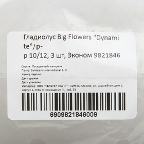 

Гладиолус Big Flowers "Dynamite", р-р 10/12, 3 шт, Эконом