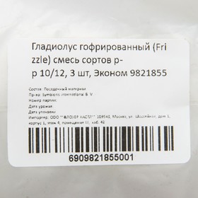 

Гладиолус гофрированный (Frizzle) смесь сортов р-р 10/12, 3 шт, Эконом