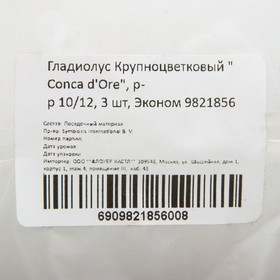 

Гладиолус Крупноцветковый "Conca d'Ore", р-р 10/12, 3 шт, Эконом
