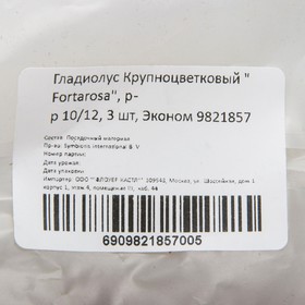 

Гладиолус Крупноцветковый "Fortarosa", р-р 10/12, 3 шт, Эконом