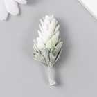 Искусственное растение для создания флорариума "Шишка" 6 см - фото 319637456