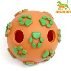 Мячик "Лапки" для собак с отверстиями, 8 см, оранжевый/зелёный - фото 319637505