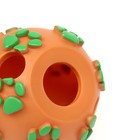 Мячик "Лапки" для собак с отверстиями, 8 см, оранжевый/зелёный - Фото 4