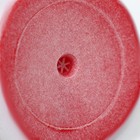 Игрушка для собак пищащая «Новогодняя шапка», 7.5×7 см - Фото 3