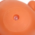 Игрушка для собак пищащая «Новогодняя курочка», 13×10×5.7 см - Фото 3