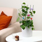 Клипса для растений «Грибок», набор 10 шт., МИКС, Greengo - Фото 6