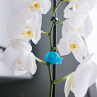 Клипса для растений «Улитка», набор 10 шт., МИКС, Greengo - Фото 11