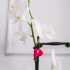 Клипса для растений «Улитка», набор 10 шт., МИКС, Greengo - Фото 12