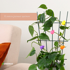 Клипса для растений «Улитка», набор 10 шт., МИКС, Greengo - Фото 4