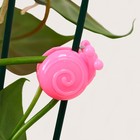 Клипса для растений «Улитка», набор 10 шт., МИКС, Greengo - Фото 7