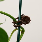 Клипса для растений «Цветы», набор 10 шт., коричневая - фото 10766860