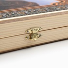 Нарды "Медведь", деревянная доска 50 х 50 см, с полем для игры в шашки - фото 33386253