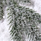 Декор «Веточка ели со снегом» - фото 9930120