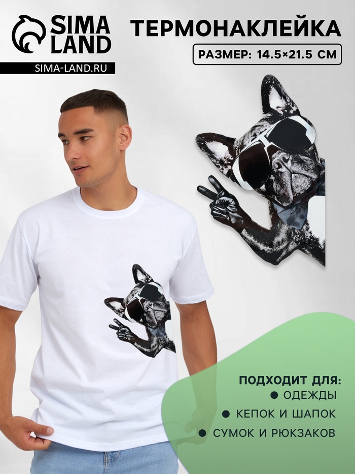 Термонаклейка «Французский бульдог», 14.5×21.5 см