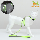 Комплект для кошек светоотражающий,ширина 1 см,шлейка 21-35 см,поводок 120 см, зелёный - фото 296449706