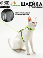 Комплект для кошек светоотражающий, ширина 1 см, шлейка 21-35 см, поводок 120 см, зелёный - Фото 1