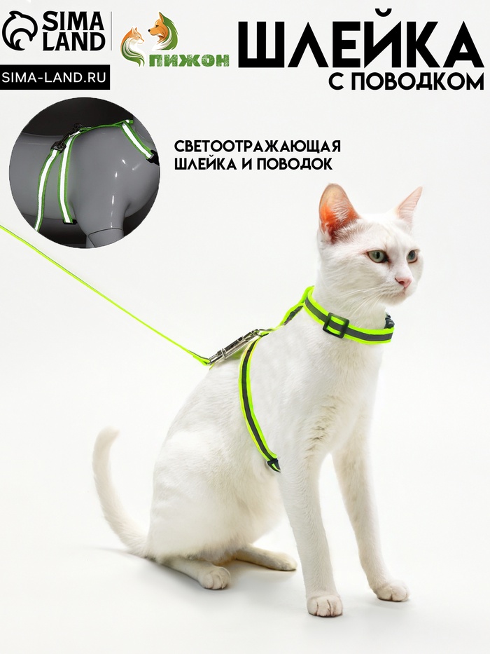 Комплект для кошек светоотражающий, ширина 1 см, шлейка 21-35 см, поводок 120 см, зелёный - Фото 1