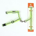 Комплект для кошек светоотражающий, ширина 1 см, шлейка 21-35 см, поводок 120 см, зелёный - Фото 11