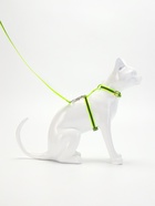 Комплект для кошек светоотражающий, ширина 1 см, шлейка 21-35 см, поводок 120 см, зелёный - Фото 3