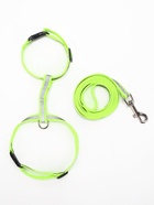 Комплект для кошек светоотражающий, ширина 1 см, шлейка 21-35 см, поводок 120 см, зелёный - Фото 4