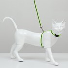 Комплект для кошек светоотражающий,ширина 1 см,шлейка 21-35 см,поводок 120 см, зелёный - фото 9058207