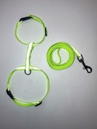 Комплект для кошек светоотражающий, ширина 1 см, шлейка 21-35 см, поводок 120 см, зелёный - Фото 5