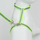 Комплект для кошек светоотражающий, ширина 1 см, шлейка 21-35 см, поводок 120 см, зелёный - Фото 6