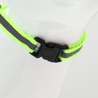 Комплект для кошек светоотражающий, ширина 1 см, шлейка 21-35 см, поводок 120 см, зелёный - Фото 7