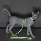 Комплект для кошек светоотражающий,ширина 1 см,шлейка 21-35 см,поводок 120 см, зелёный - фото 9058212
