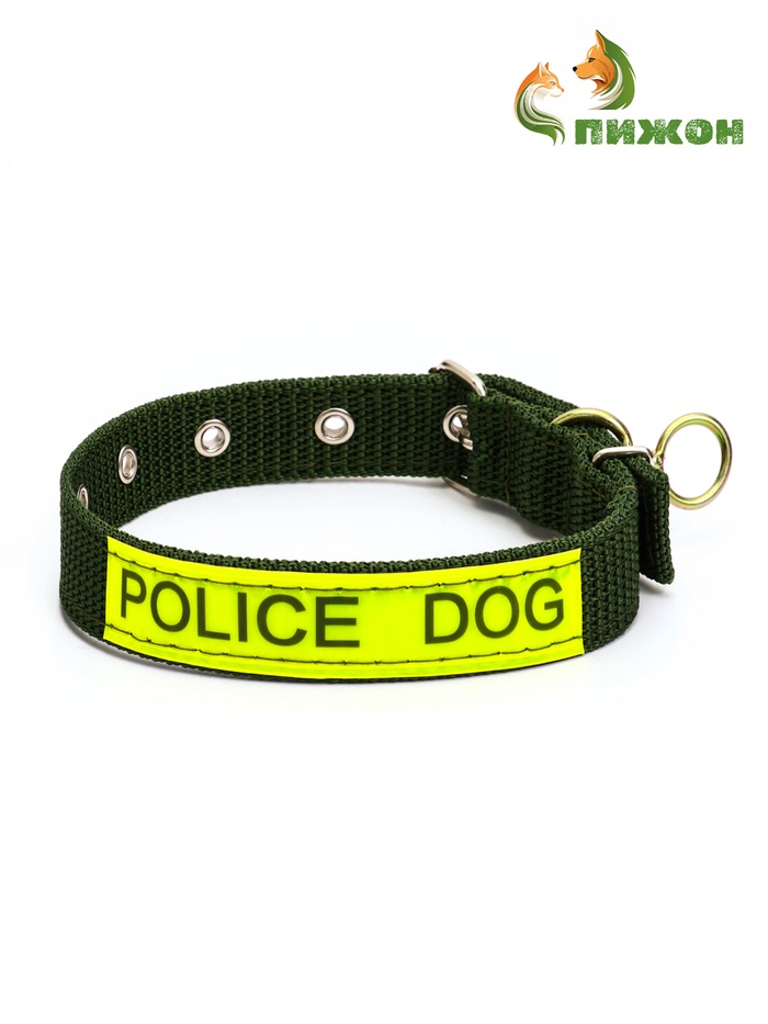 Ошейник двухслойный с вертлюгом, 2.5 см, зелёный - Фото 1