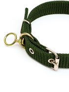 Ошейник двухслойный с вертлюгом, 2.5 см, зелёный - Фото 3