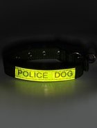 Ошейник двухслойный с вертлюгом, 2.5 см, зелёный - Фото 7