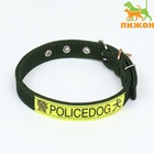 Ошейник, двухслойный, с вертлюгом, ширина 3 см, зелёный - Фото 2