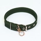 Ошейник, двухслойный, с вертлюгом, ширина 3 см, зелёный - Фото 3